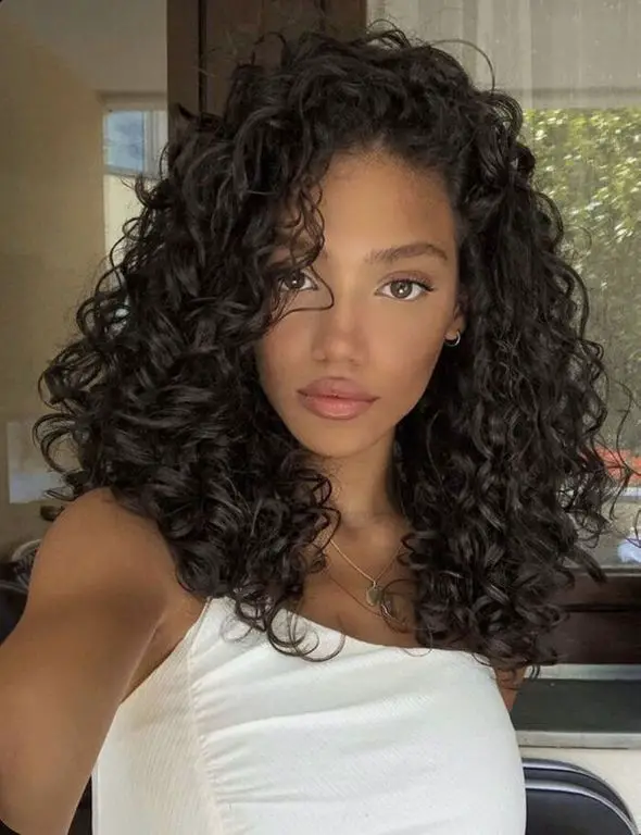 Curly Hairstyles for Black Women 18 Ideas: Embracing Natural Beauty