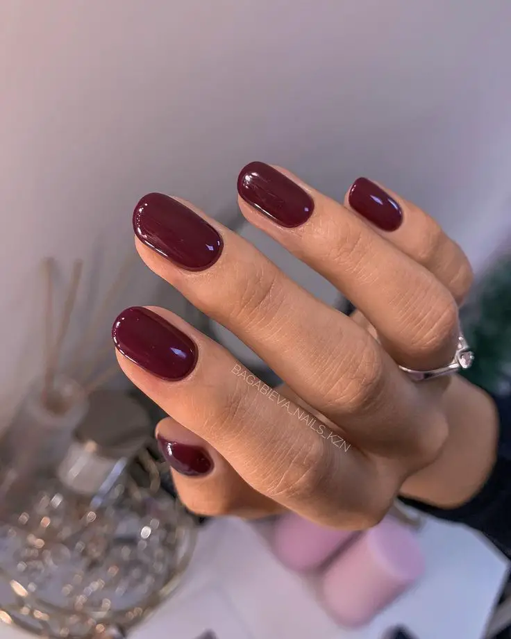 Natural Nails Winter Colors 2023-2024 16 Ideas: Embrace the Season in Style