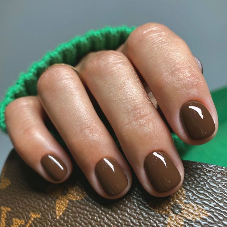 Winter Nails Brown 2023-2024 20 Ideas: Cozy and Stylish Nail Trends