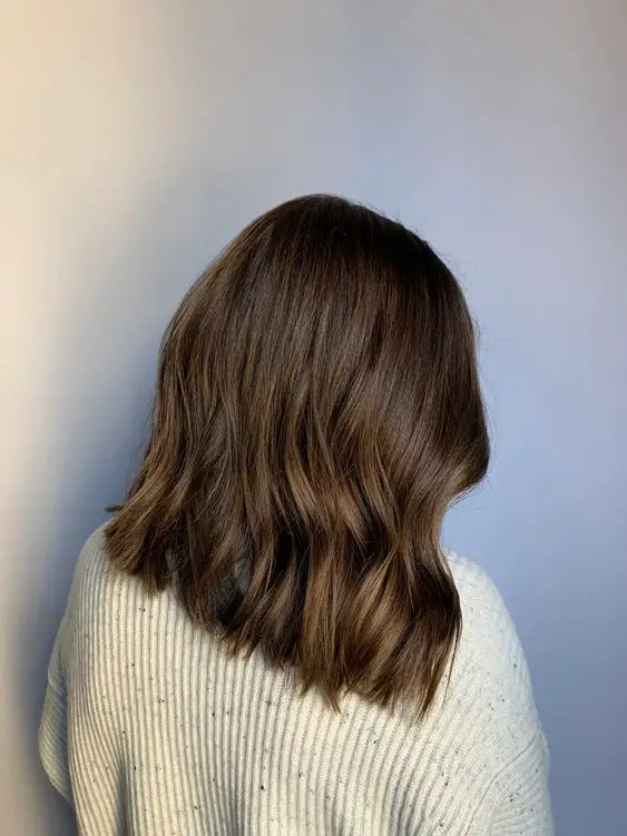 Spring Hair Color for Brunettes Highlights 2024 15 Ideas