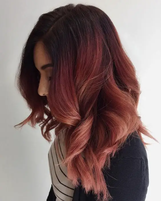 Embracing the Spring: A Guide to the Latest Hair Color Trends for Dark Hair in 2024 16 Ideas