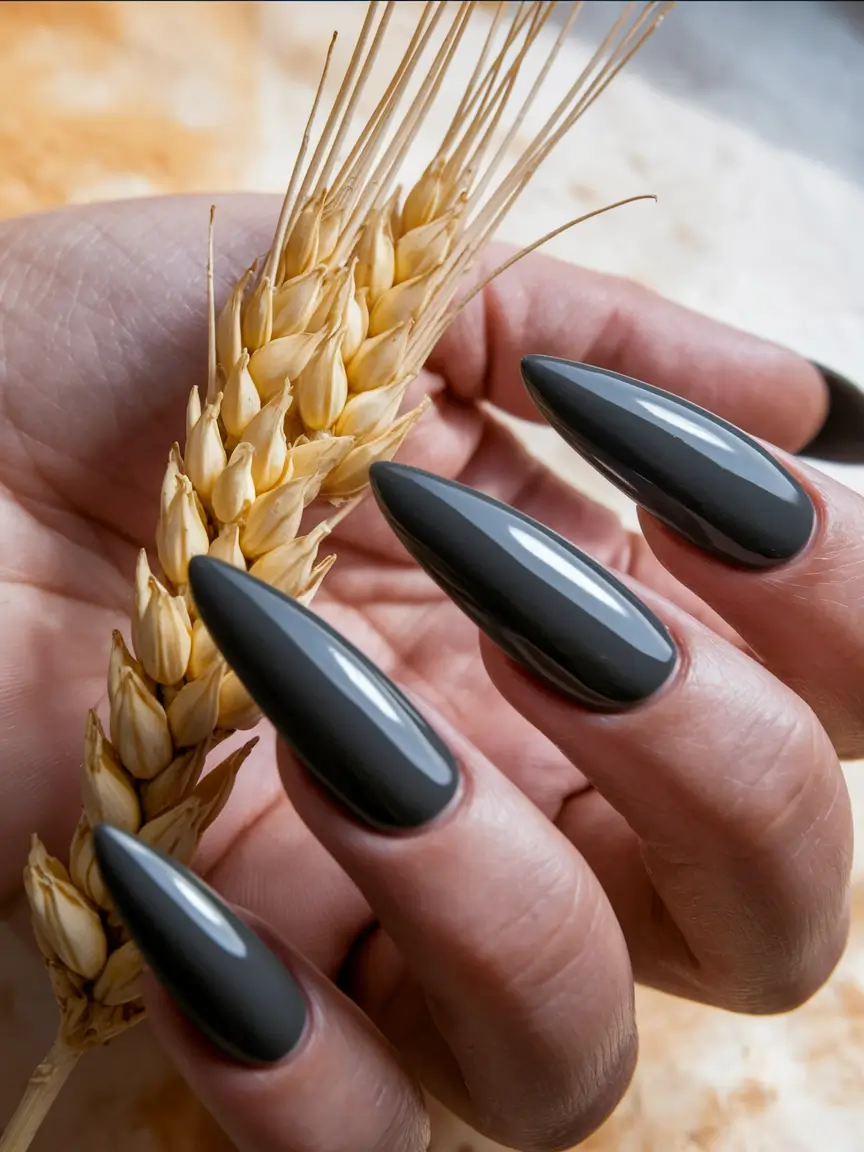 Stylish Dark Fall Nails 2025 Charcoal Grey Sophistication