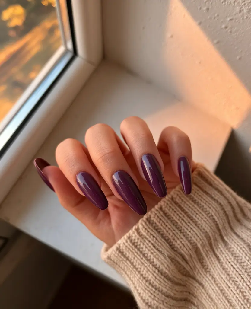 Trendy Winter Dip Nails 2025-2026 Deep Plum Sophistication