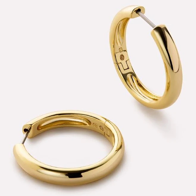 accessory Ana Luisa Hoop Earrings Ana Luisa $70