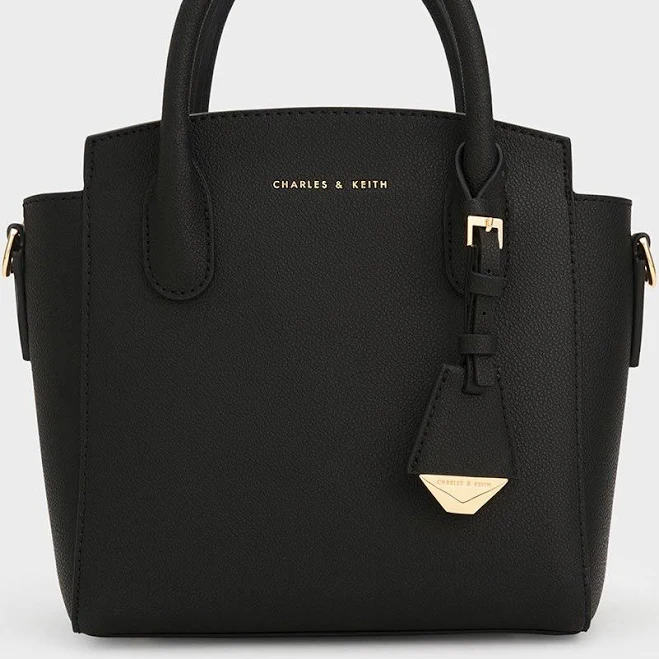 bag Charles & Keith Harper Structured Top Handle Bag charleskeith.com $119