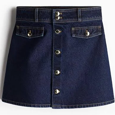 skirt H&M A-Line Skirt H&M $39.99