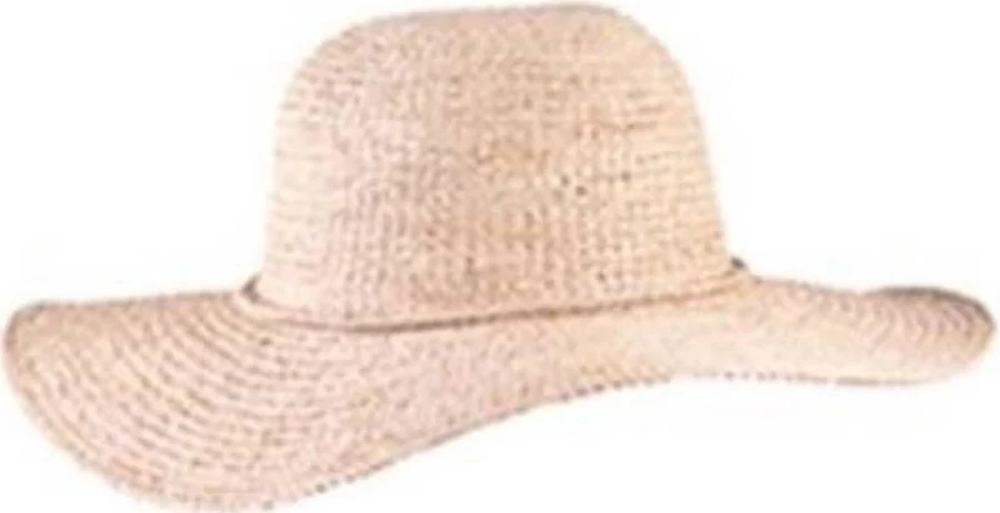 accessory San Diego Hat Company Women's Large Brim Raffia Hat Everything But Water $58