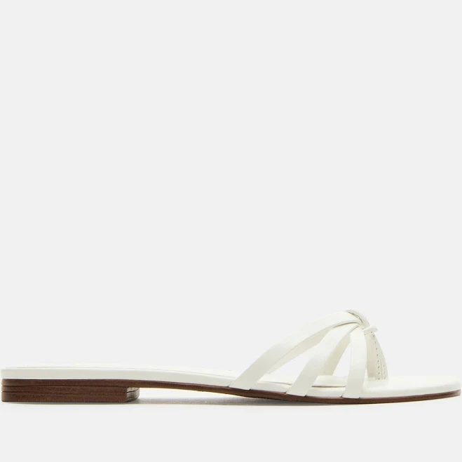 shoes Steve Madden Women's Calissi Thong Sandals Steve Madden $79.95