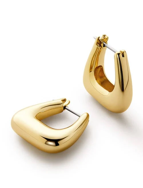 accessory Ana Luisa Women's Chunky Hoop Earrings Nordstrom $85