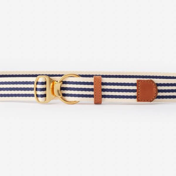 accessory J.McLaughlin Women's Mini Isobel Canvas Belt in Stripe J.McLaughlin $128