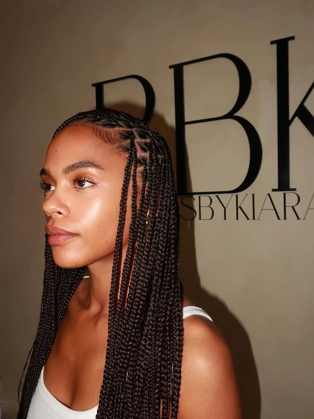 bora bora braids hairstyle Classic Center-Part Braids With Clean Face-Framing Details