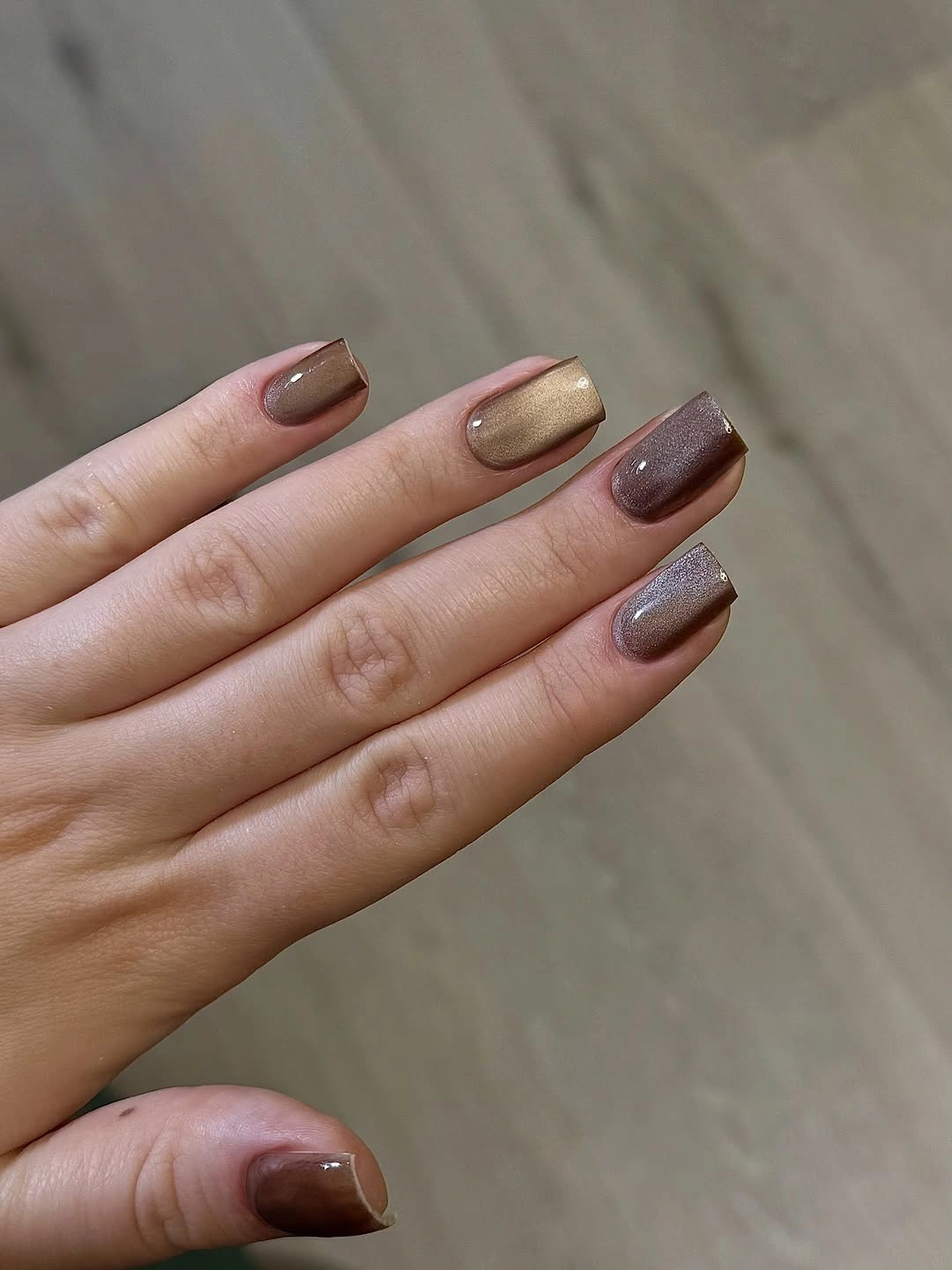 Fall manicure 2026 Earthy Brown Gloss Manicure With Mixed Neutrals