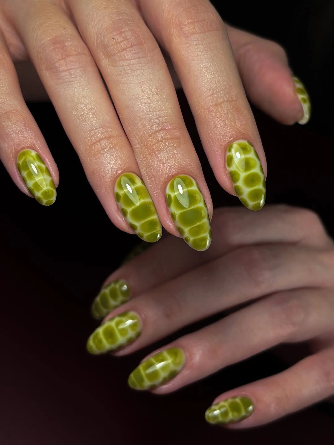 September nails color 2026 Lime Turtle Shell Short Square Nails