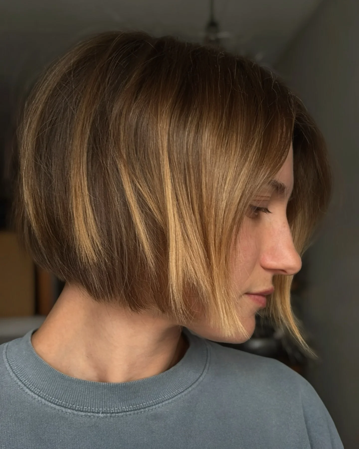 short bobbed hairstyle Dimensional Brunette Bob with Face-Framing Highlights