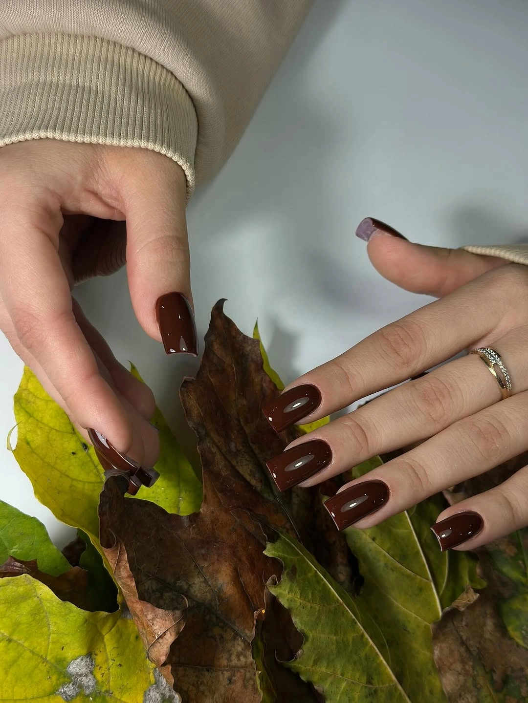 Short glossy brown nails with a subtle autumn leaf accent