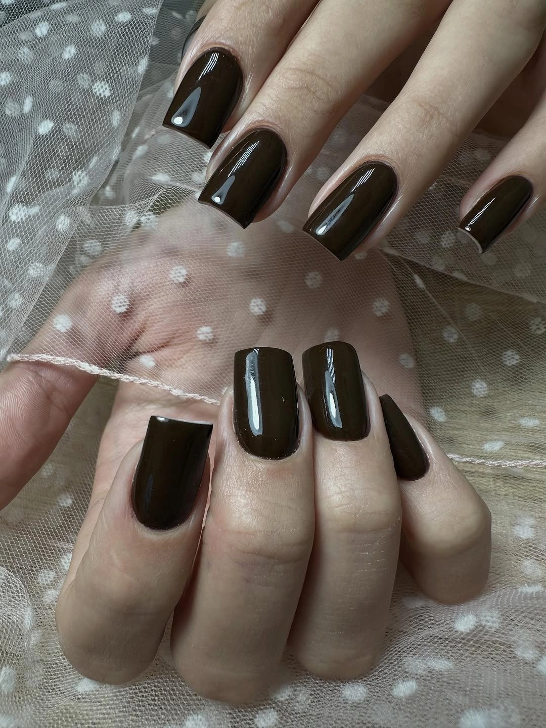 Medium rounded-square espresso nails against dotted fabric