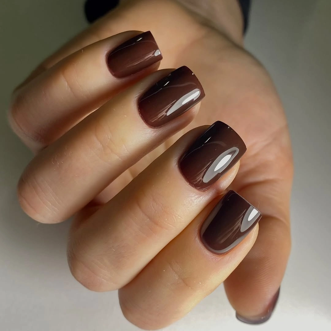 Medium rounded-square nails in glossy deep brown