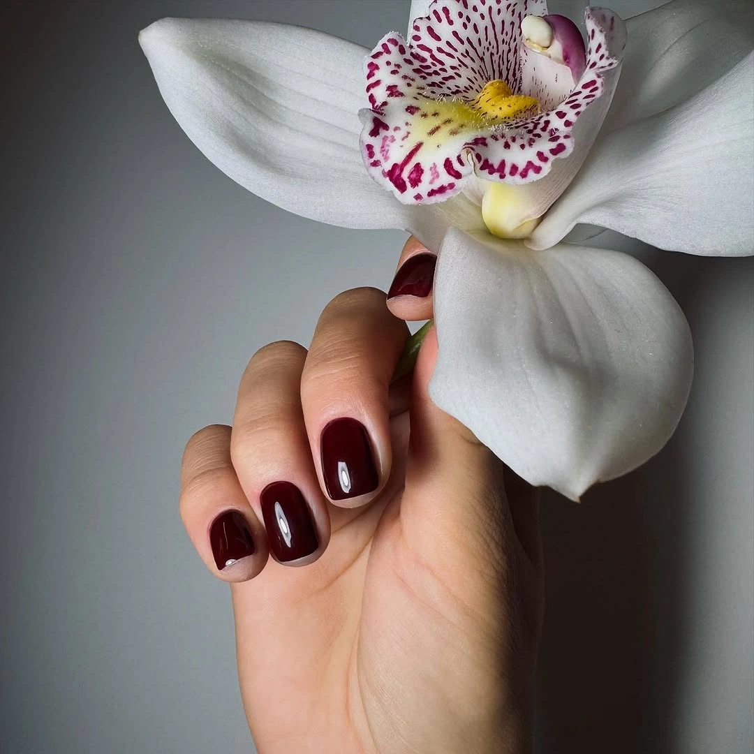 Short glossy burgundy nails against a bright pale background