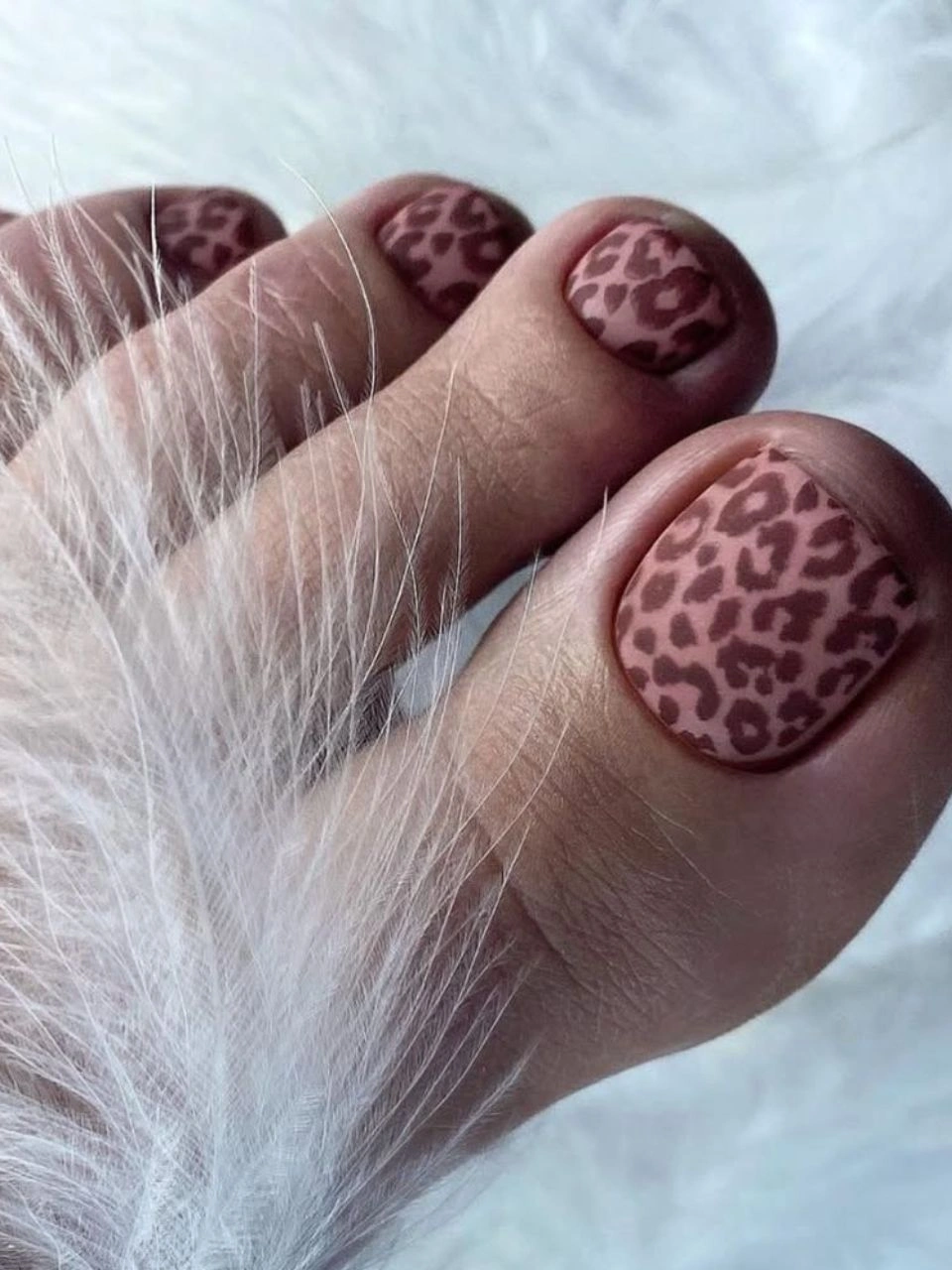 Short rounded-square burgundy toes with darker tone-on-tone spots