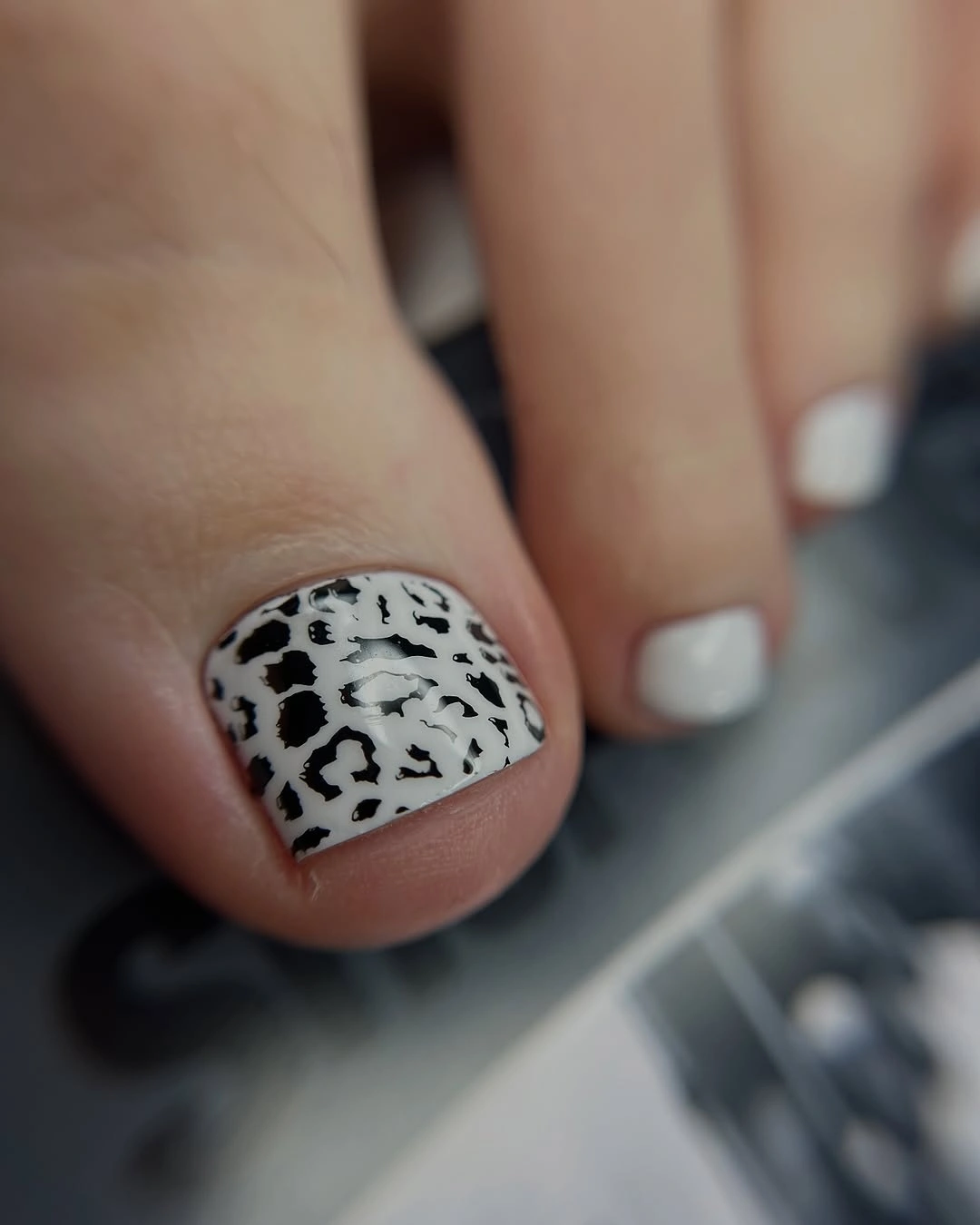 White square big toe with black leopard-like spots and plain white companions