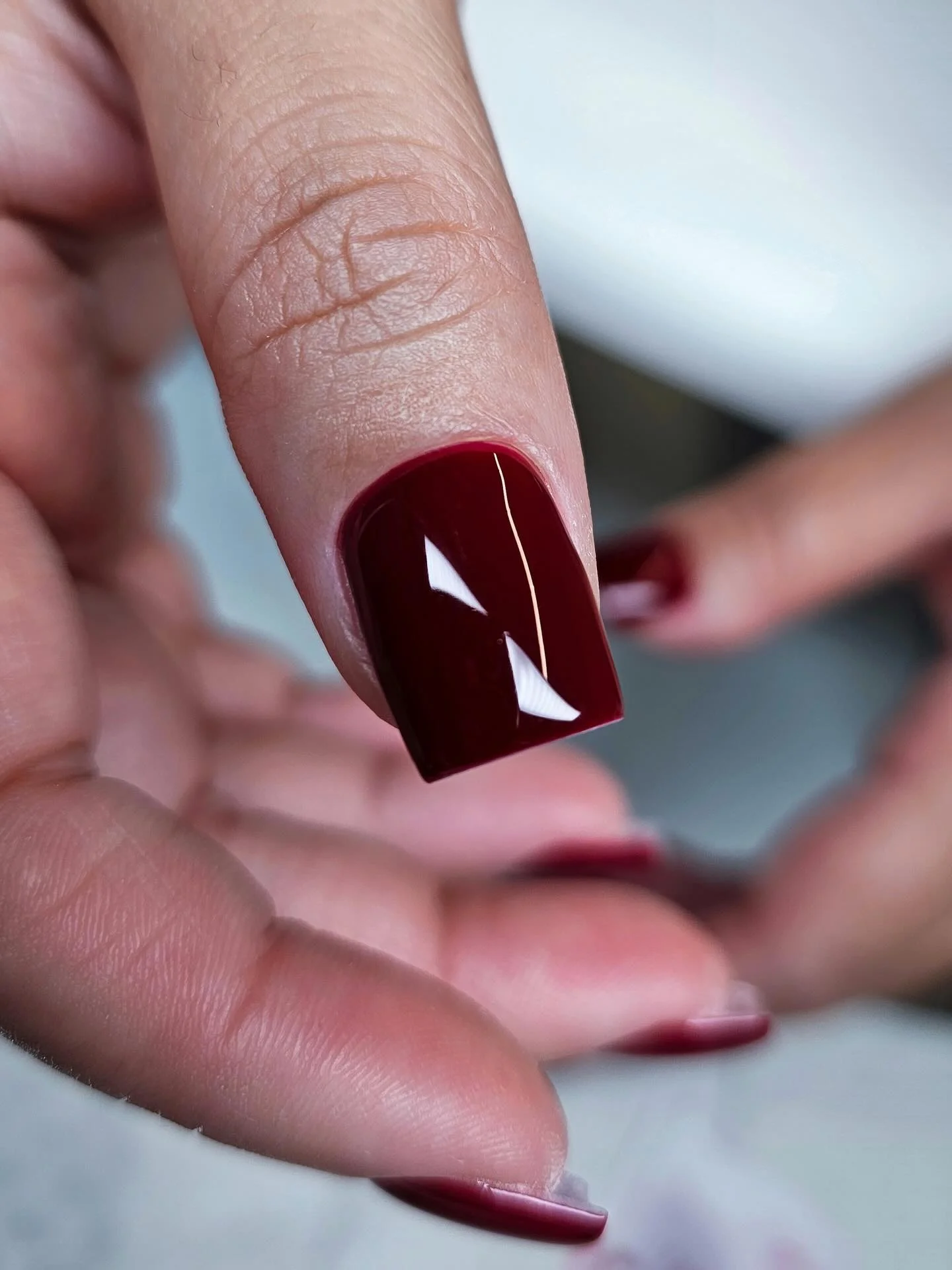 Short square nails in very dark wine maroon with high glossy shine