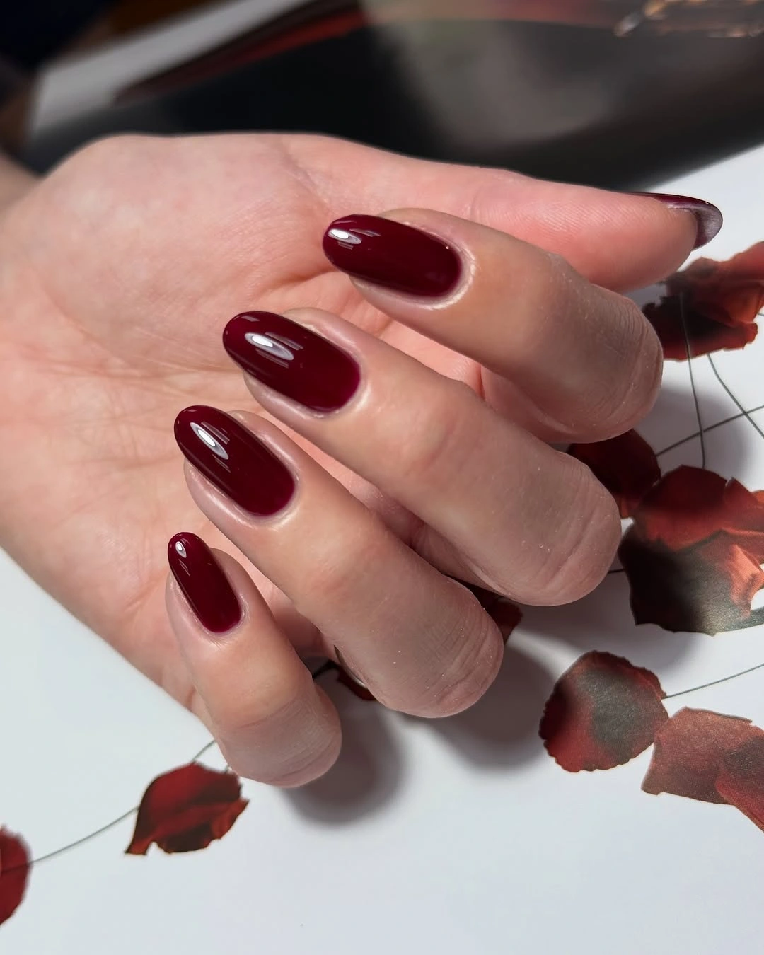 Clean glossy maroon almond nails with warm autumn leaf background