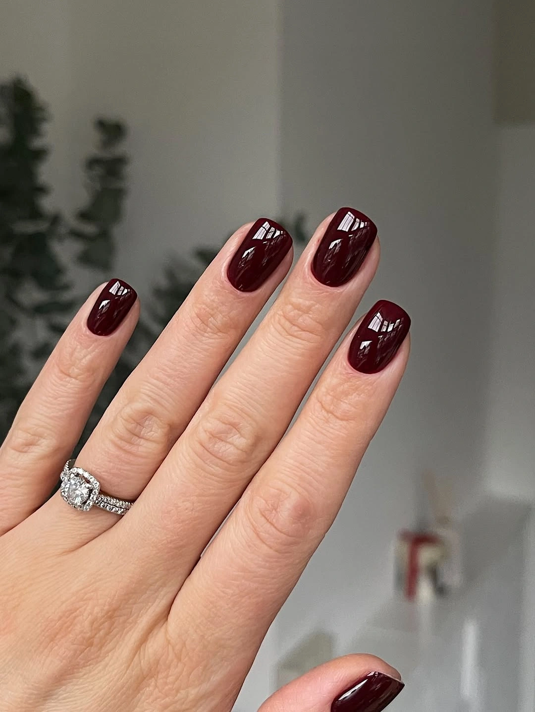 Short glossy wine-colored squoval nails with softly rounded corners