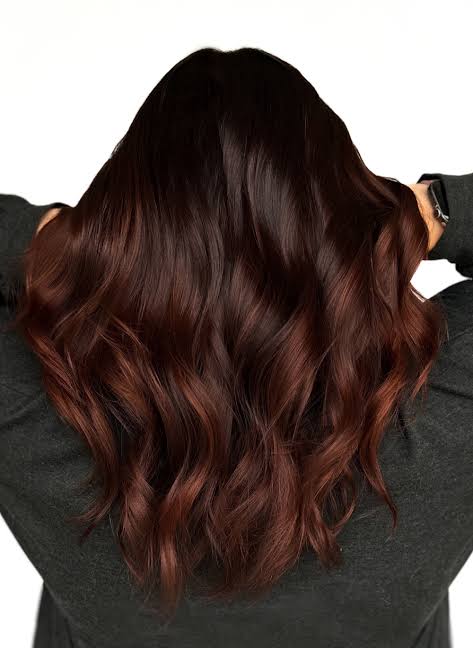 Lustrous Deep Chestnut Blowout — Chestnut Brown Hair