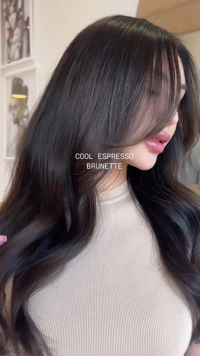 Glossy Espresso Collarbone With Curtain Bangs Glossy Espresso Collarbone With Curtain Bangs — Espresso Brown Hair