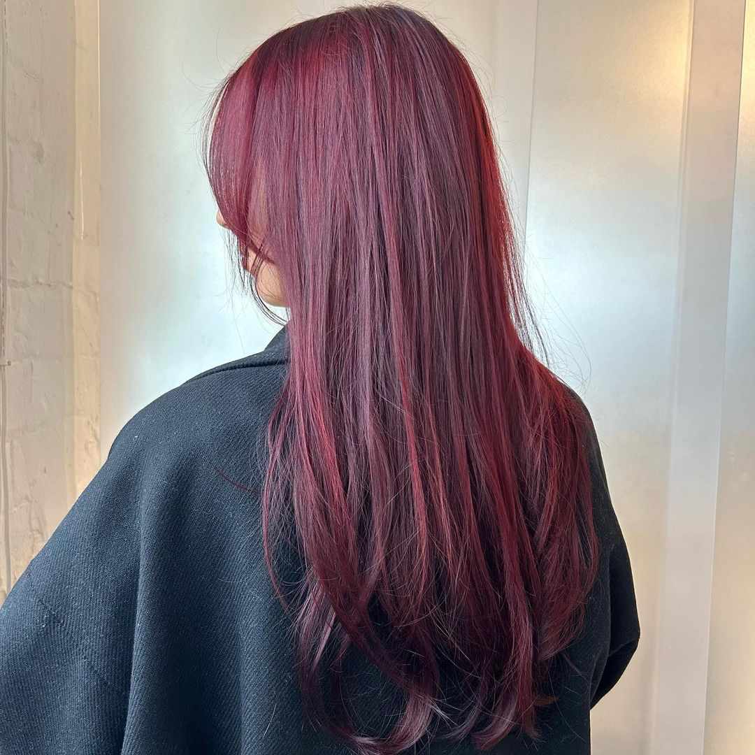 Thick Straight Deep Plum — True Winter Hair Color