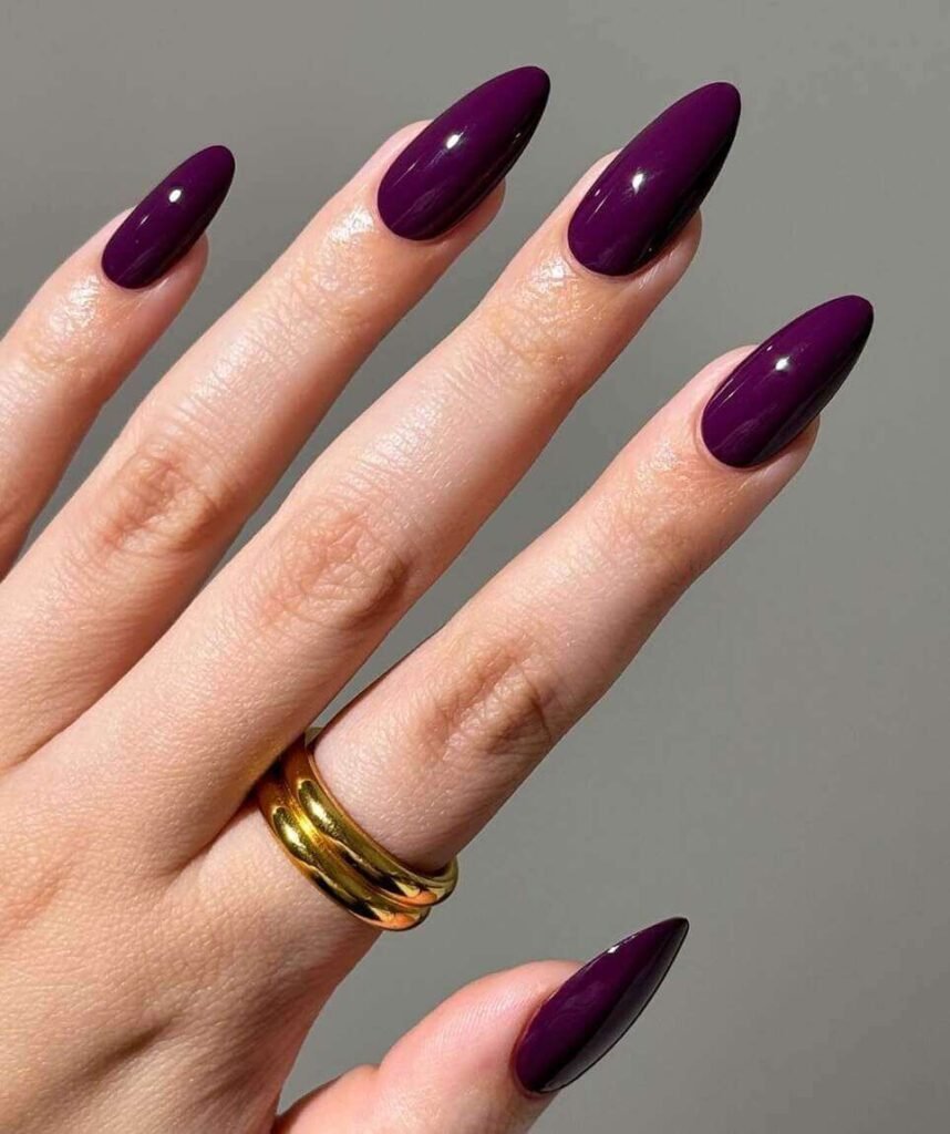 None Visual Idea — Winter Stiletto Nails