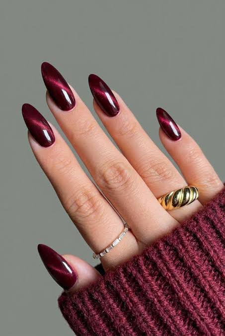 Glossy Cat-Eye Effect Vibrant High Gloss Long Stiletto Burgundy Glossy Cat-Eye Effect Vibrant High Gloss Long Stiletto Burgundy — Burgundy Nails