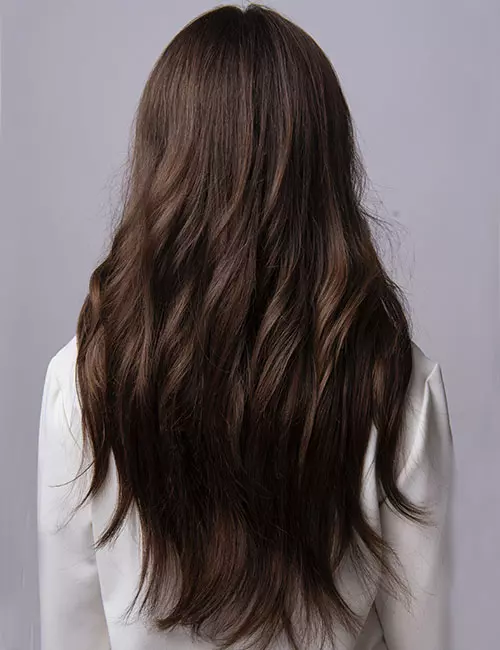 Naturally Air-Dried Dark Brown Naturally Air-Dried Dark Brown — Winter Hairstyles for Thick Hair