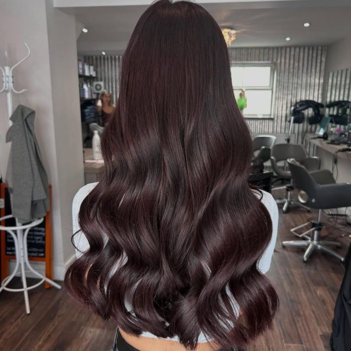 Deep Plum Brown Hair for Winter Deep Plum Brown Hair for Winter — Dark Winter Hair Colors
