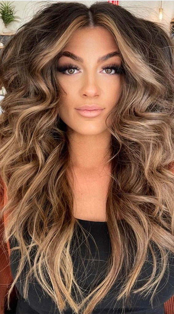 Rich Brown With Voluminous Caramel Highlights — Blonde to Brunette Hair