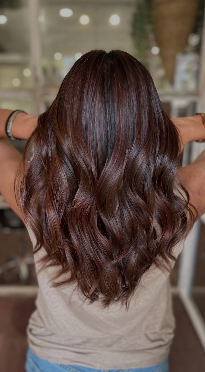 Back View Visual Idea Back View Visual Idea — Winter Hair Colors for Brunettes