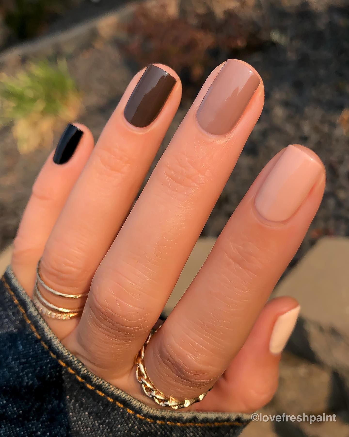 Multi-Color Glossy Medium Square Nails Multi-Color Glossy Medium Square Nails — Natural Winter Nails