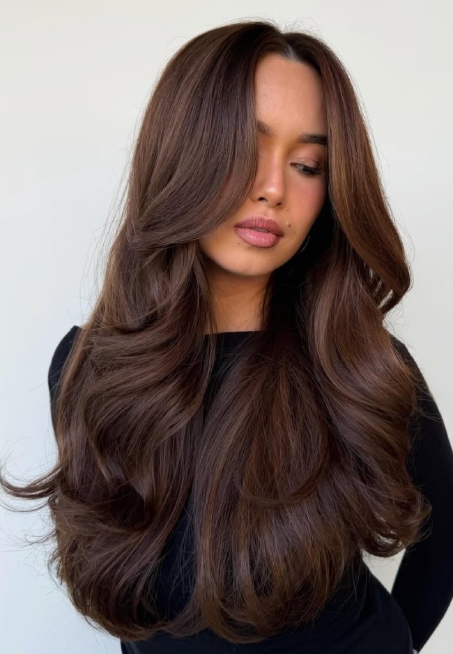 Mid-Back Blowout With Curtain Bangs Mid-Back Blowout With Curtain Bangs — Dark Chocolate Brown Hair