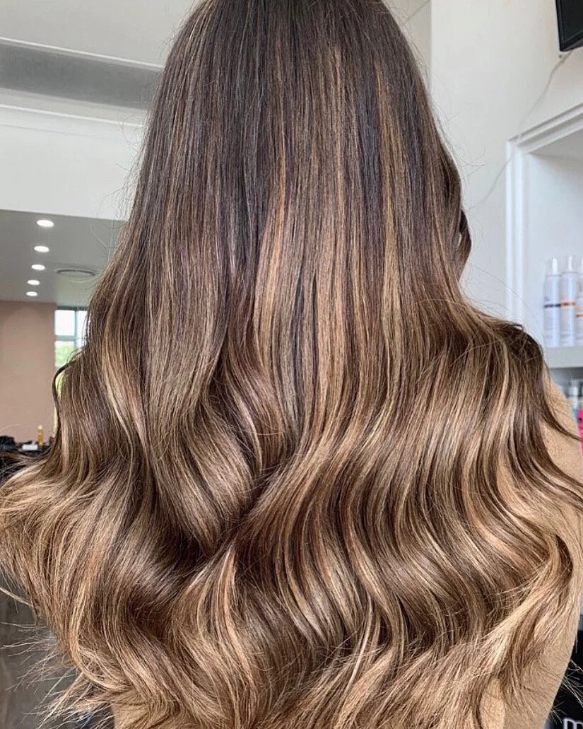 Mid-Back Chestnut With Fine Blonde Highlights — Chestnut Brown Hair