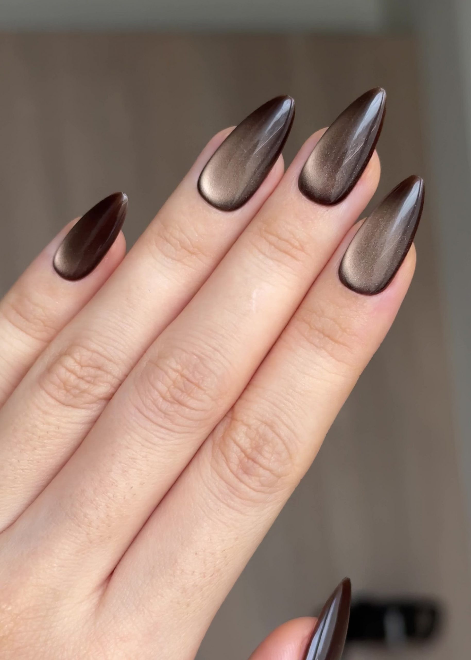 Winter Mocha Brown Golden Cat Eye Winter Mocha Brown Golden Cat Eye — Winter Cat Eye Nails