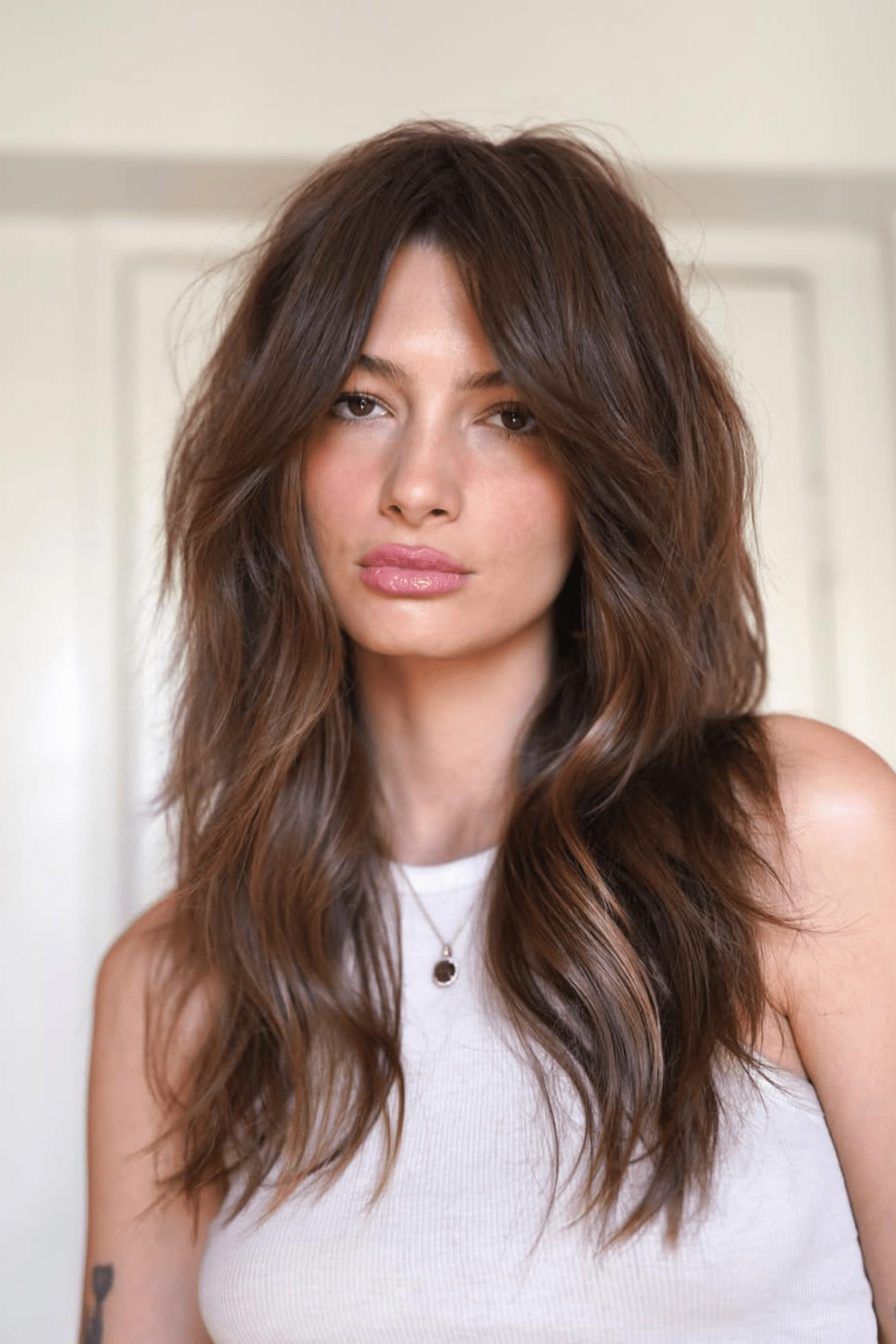 Dark Brown Shag With Caramel Highlights — Winter Layered Haircuts