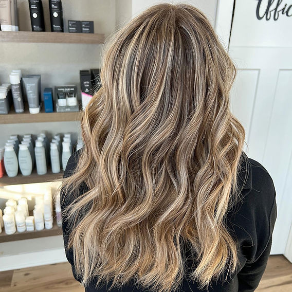 Back View Visual Idea Back View Visual Idea — Lowlights for Blonde Hair