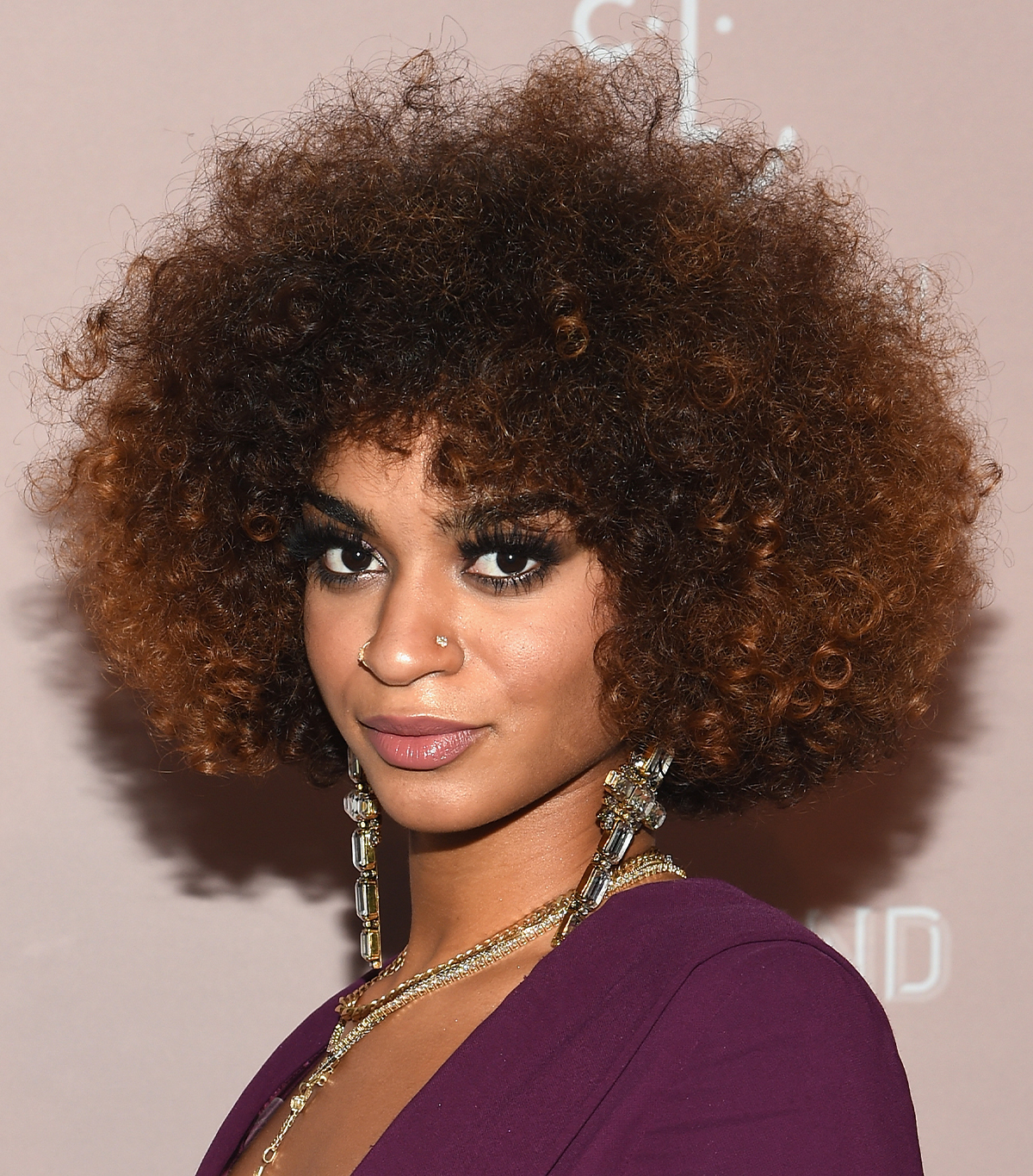 Shoulder-Length Visual Idea Shoulder-Length Visual Idea — Winter Hair Colors for Curly Hair