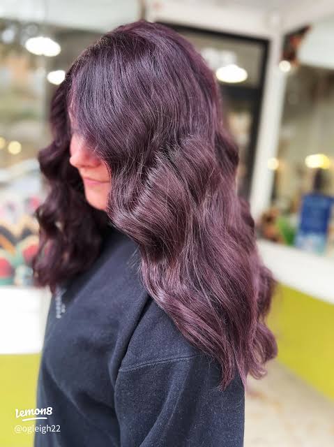 Deep Purple With Black Cherry Undertones — Plum Hair Color