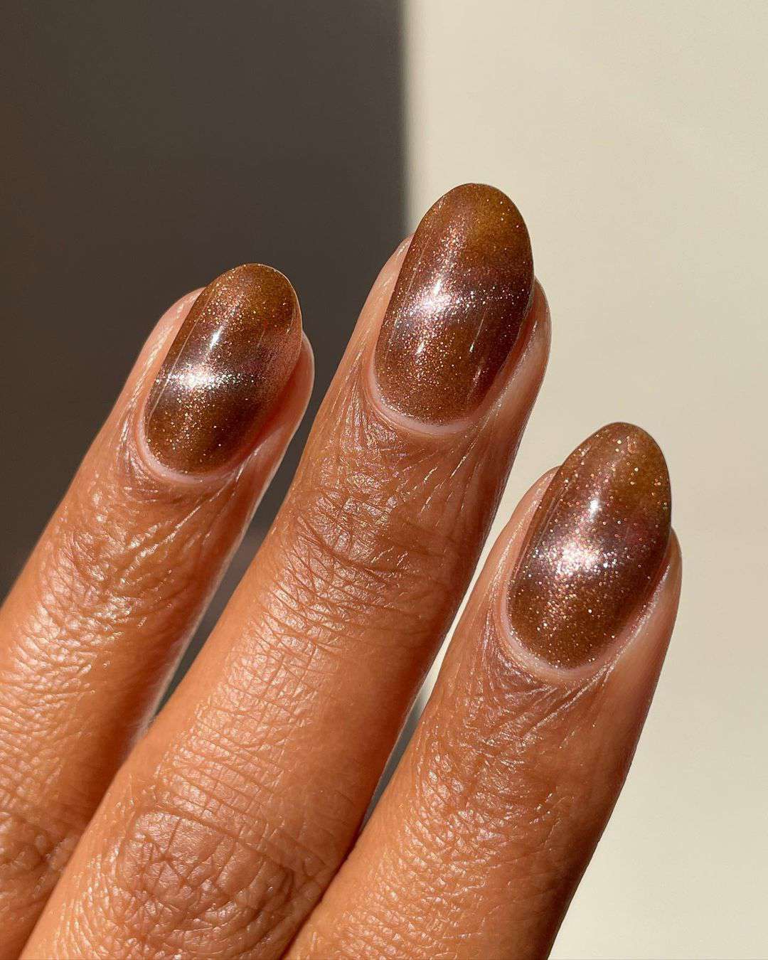 Warm Brown with Subtle Gold Shimmer Warm Brown with Subtle Gold Shimmer — Winter Nail Colors for Dark Skin