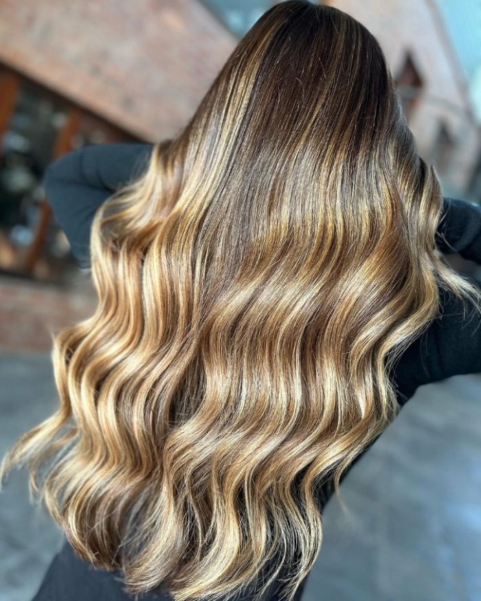 Back View Full Length Visual Idea Back View Full Length Visual Idea — Winter Hair Colors for Brunettes