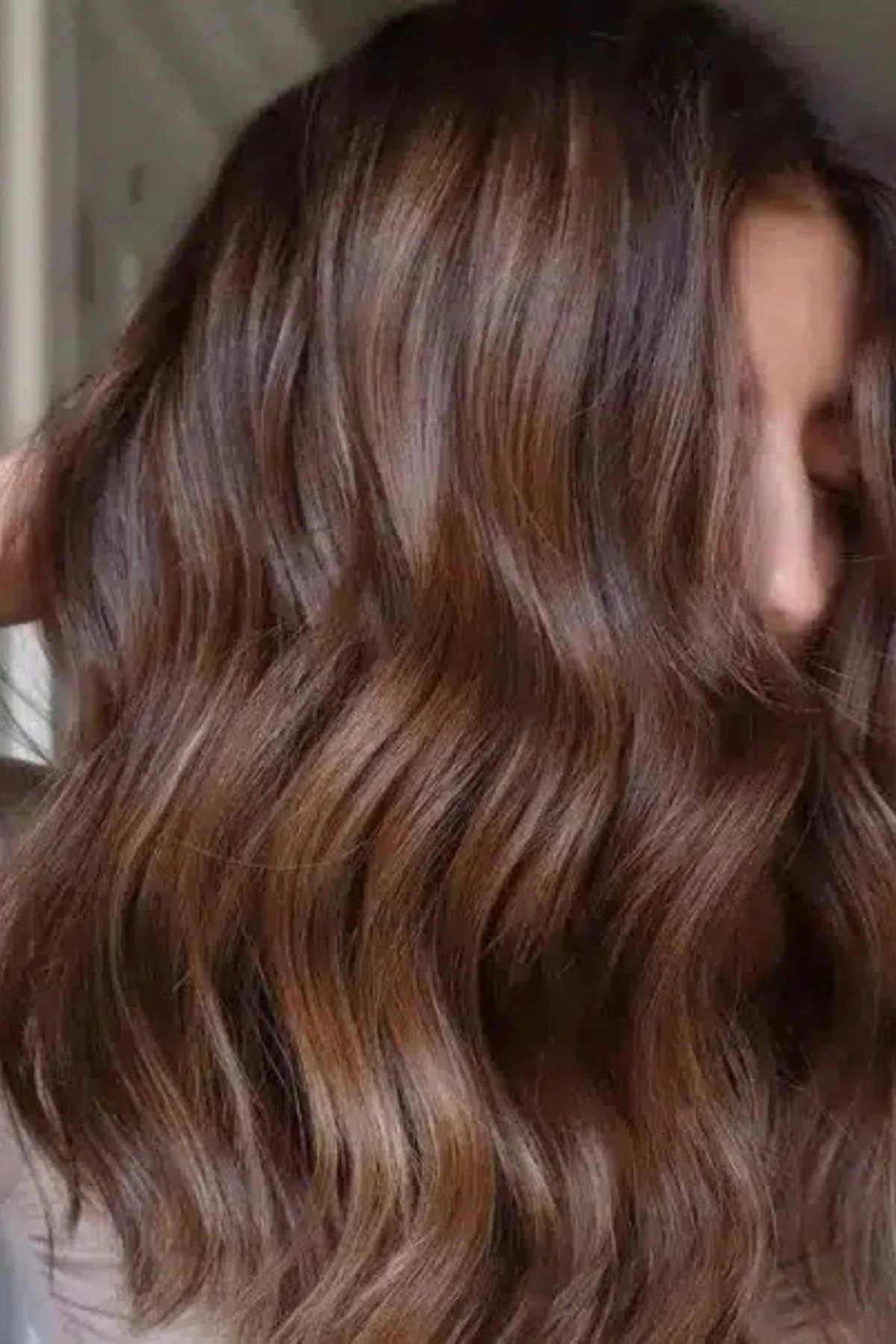 Rich Chocolate Brown With Lighter Highlights Rich Chocolate Brown With Lighter Highlights — Winter Brown Hair Colors