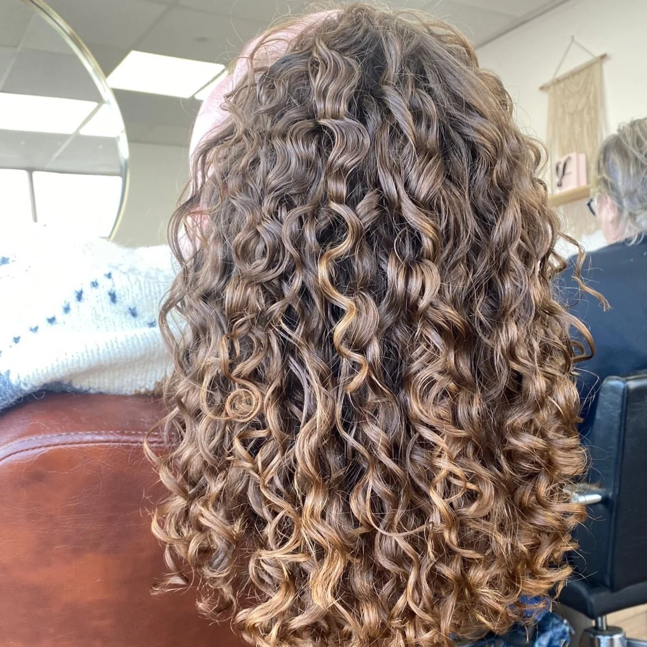 Back View Visual Idea Back View Visual Idea — Winter Hair Colors for Curly Hair