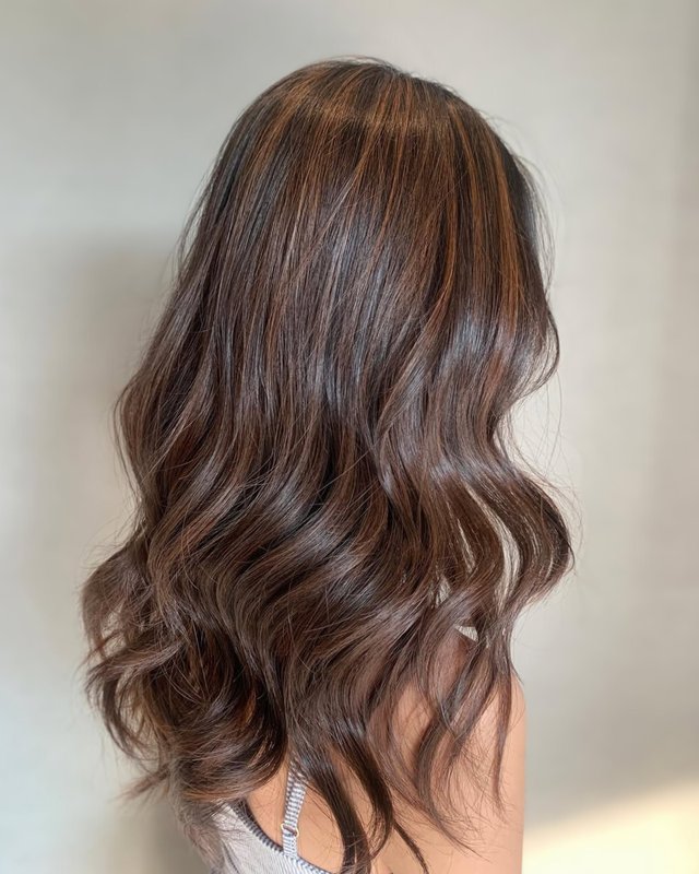 Collarbone Chestnut Blowout — Chestnut Brown Hair
