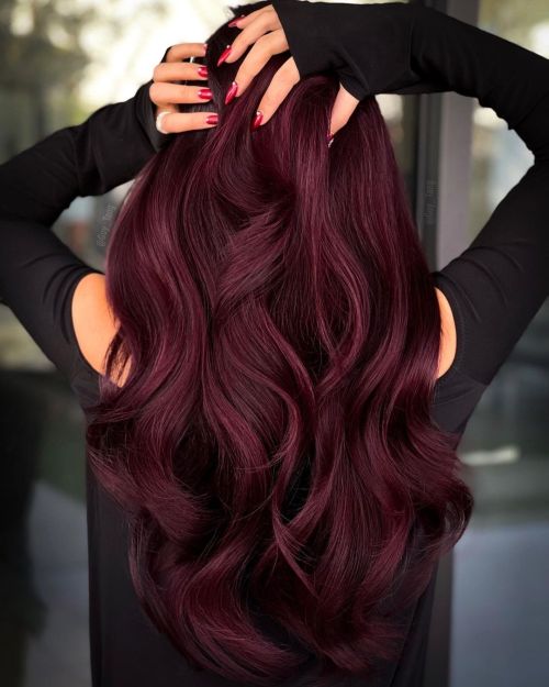 Rich Dark Red with Violet Undertones Rich Dark Red with Violet Undertones — Dark Winter Hair Colors